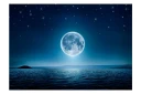 Fototapet Moonlit Night 350x245 - Artgeist sp. z o. o.