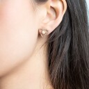 Lily and Rose Elise Earrings Ivory pearl gold