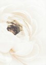 Pictufy Studio Iii White Flower No.1 Plakat Plakat / 30x40cm
