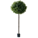 Mr Plant Lagerbladtre 220 cm