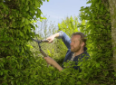 Gardena NatureCut Hekksaks