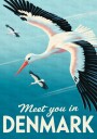 Flying Storks Denmark Plakat / 50x70