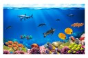 Fototapet Underwater Kingdom 400x280 - Artgeist sp. z o. o.