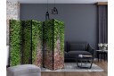 Romdeler - Brick and ivy II 225x172 - Artgeist sp. z o. o.
