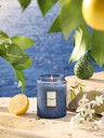 Voluspa Japonica Collection Small Jar Mediterranean Lemon 156g