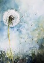 The Dandelion Plakat / 30x40cm