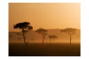 Fototapet Massai Mara 350x270 - Artgeist sp. z o. o.