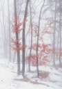 Autumnal snow Plakat Plakat / 30x40cm