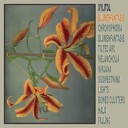 Xylitol Blumenfantasie Vinyl