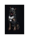 Dog Harness Divo Reflect Black/Grey M Chest 56-73cm