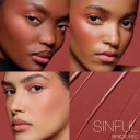NARS Multiple Sinful