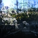 Panopticon  ...And Again into the Light  CD