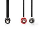 Nedis 2m Lydkabel 3.5mm til RCA Phono, Nikkelbelagt, Sort