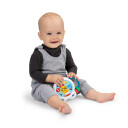 Baby Einstein Minitromme