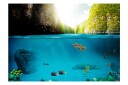 Fototapet Under The Waterline 400x280 - Artgeist sp. z o. o.