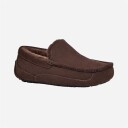 UGG M Ascot - Dusted Cocoa US 9