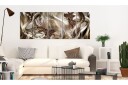 Bilde Elegant Shells 225x90 Artgeist sp. z o. o.