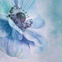 Shades of Blue Poster Plakat / 30x30cm