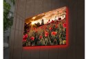Lerretsbilde med LED belysning Blomstrende valmuefelt i solnedgangens lys Rød / Grønn / Gul