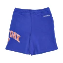 Mitchell & Ness Herre Shorts Blå L,