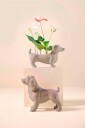 Wikholm Form Jacky Planter for hund Beige