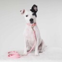 Tyylivoitto Hundekobbel Flettet Lysrosa (9Mm X 200Cm)