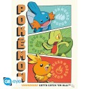 POKEMON Portfolio 9 posters "Starters"