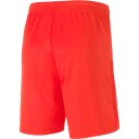 PUMA teamGOAL 23 Treningsshorts Rød XL