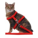 Kattesele Med Lenke Flere Farger