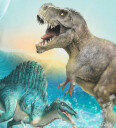 Molo T skjorte   Rosa   Dino Splash   Molo   7 år (122)   T skjorte   Turkis