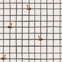 Speckled Spiders Plakat Plakat / 30x30cm