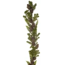 Mr Plant Krans med kongler 155 cm