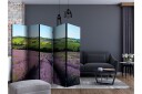 Romdeler Lavender Fields II - Artgeist sp. z o. o.