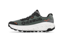 Icebug Arcus 2 Women's BUGrip GTX Grey
