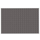 Vidaxl Vektdyne grå 120x180 cm 9 kg stoff