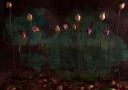 Moody Dried Roses Plakat / 40x50