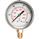 Glyserinmanometer Ø63 RF-hus, 1/4" rg. nedover, 0+600 bar/psi