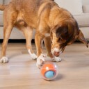 Nina Ottosson Topsy Godbitball