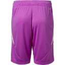 Vejle Boldklub 25/26 Keepershorts Lilla 3XL