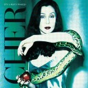 Cher  It's a Man's World  LP/Vinyl