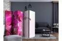 Romdeler - Pink Orchid II 225x172 - Artgeist sp. z o. o.