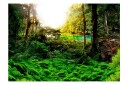 Fototapet In Tropics 350x245 - Artgeist sp. z o. o.