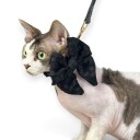 Trufois Sløyfe til Hund & Katt Svart 217945