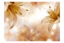 Fototapet Queens Of Summer 250x175 - Artgeist sp. z o. o.