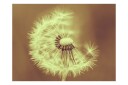 Fototapet Dandelion Sepia 250x193 - Artgeist sp. z o. o.