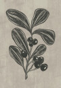 Winter Berry Plakat Plakat / 70x100cm