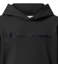Champion Hettegenser Icons Tonal Hoodie With Large Logo Grå