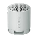 Sony SRS-XB100 Grå