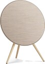 Bang & Olufsen Beosound A9 5th Gen. Gull