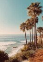 Palm Trees with Blue Sky Plakat Plakat / 50x70cm